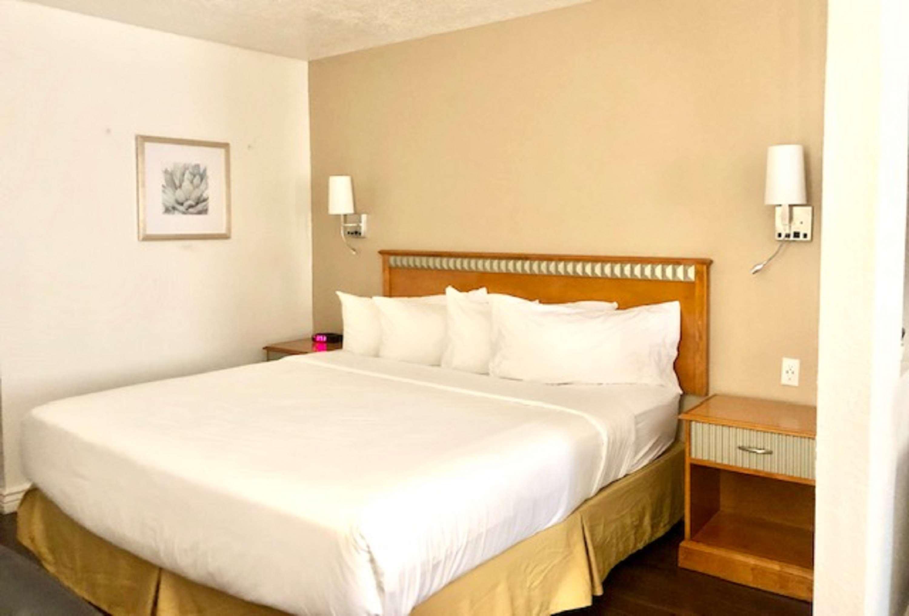 Surestay Plus Hotel By Best Western Albuquerque I-40 Eubank Dış mekan fotoğraf