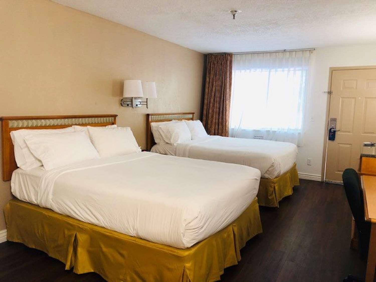 Surestay Plus Hotel By Best Western Albuquerque I-40 Eubank Dış mekan fotoğraf